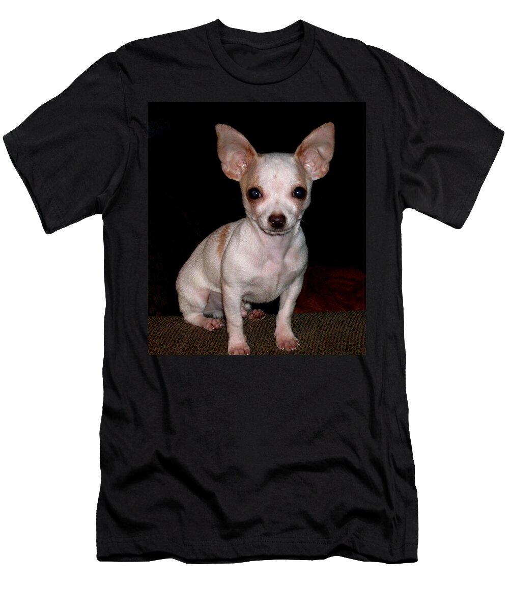 Chihuahua Puppy T-Shirt featuring the photograph Chihuahua Puppy by Maria Urso
