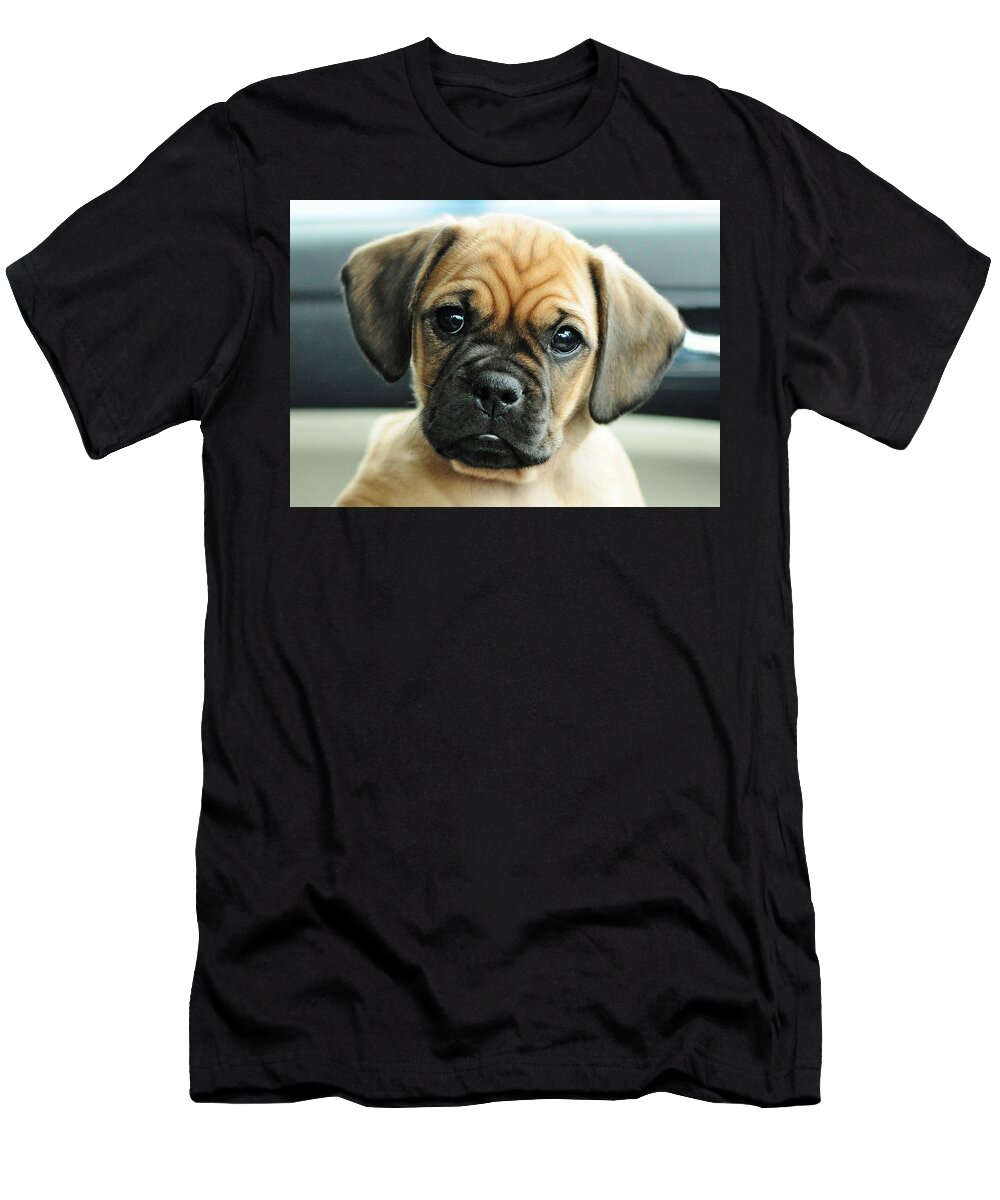 Animal T-Shirt featuring the photograph Chooch by Lisa Phillips