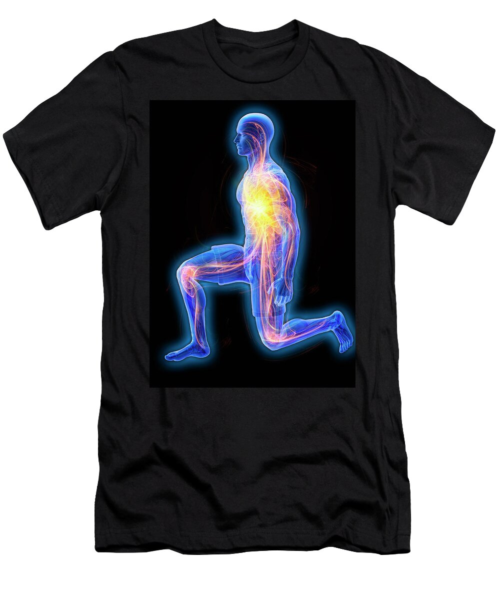 Adult T-Shirt featuring the photograph Circulation Visible by Ikon Ikon Images