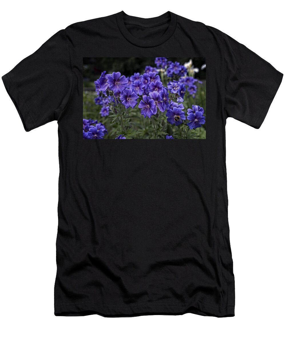 Garden T-Shirt featuring the photograph City Garten by Miguel Winterpacht