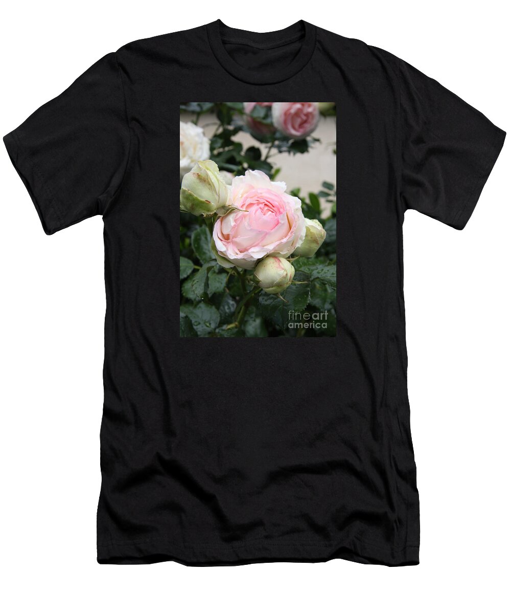 Roses T-Shirt featuring the photograph Classic Rose by Christiane Schulze Art And Photography