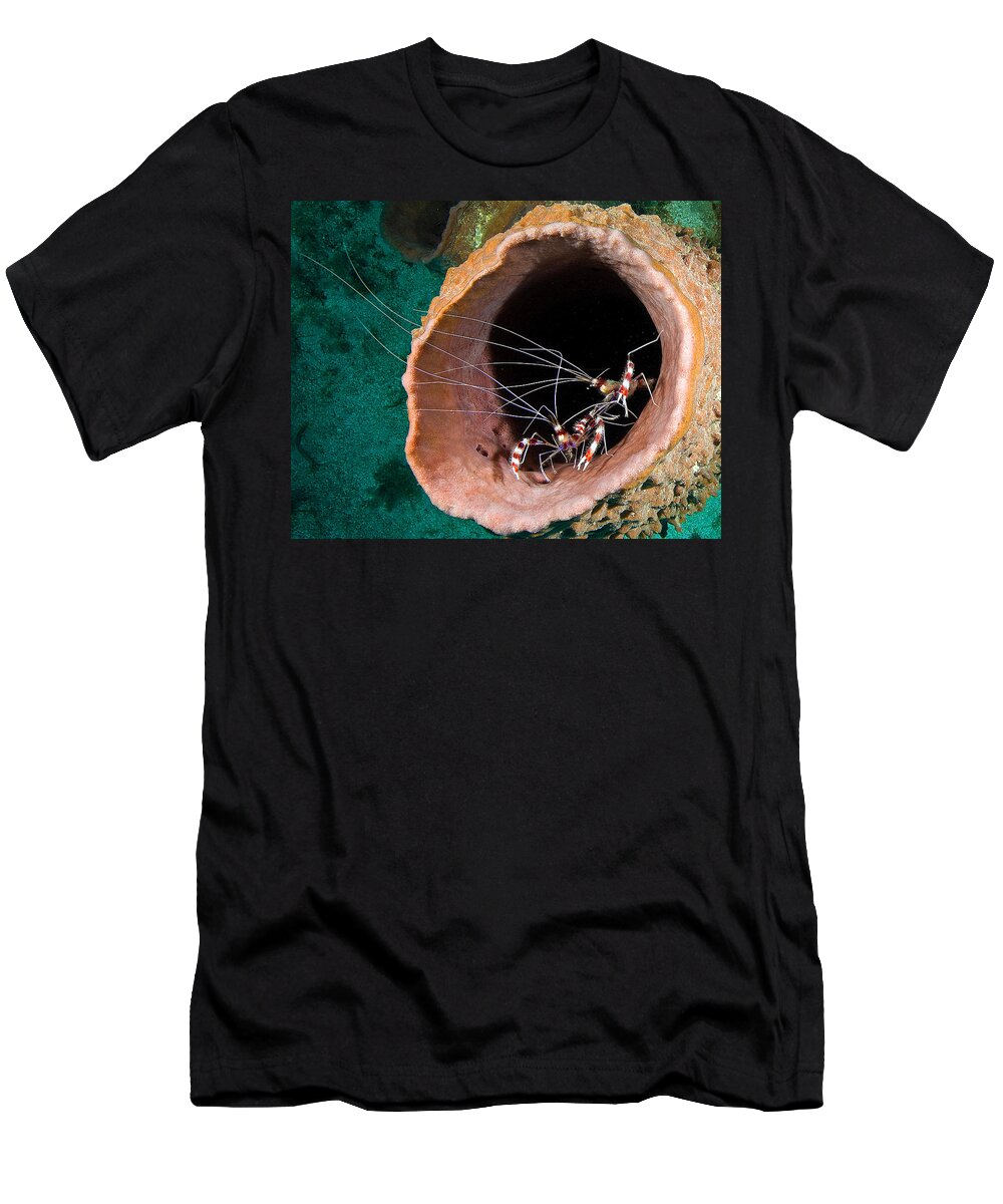 Playa Royal Resort T-Shirt featuring the photograph Cleaning station by Jean Noren