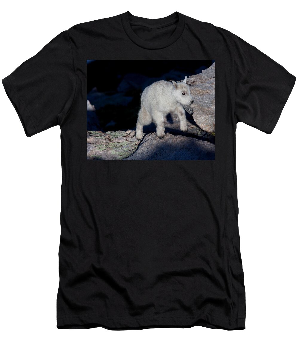 Mountain Goats; Posing; Group Photo; Baby Goat; Nature; Colorado; Crowd; Baby Goat; Mountain Goat Baby; Happy; Joy; Nature; Brothers T-Shirt featuring the photograph Climb Every Mountain by Jim Garrison