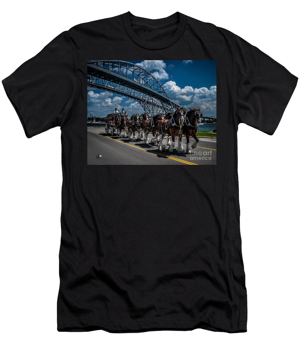 Clydesdale's T-Shirt featuring the photograph Clydesdales and Blue water Bridges by Ronald Grogan