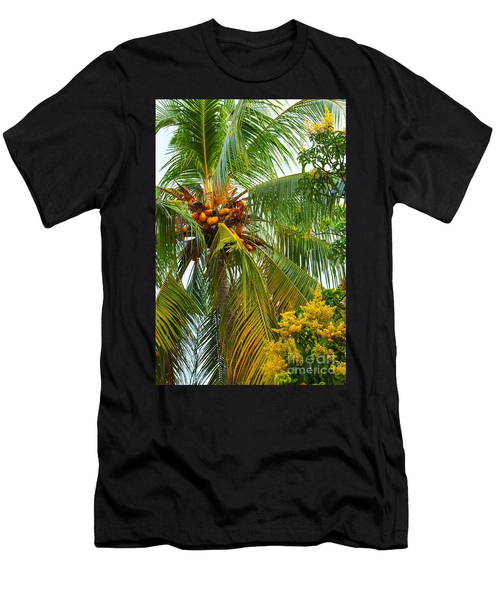 Coco T-Shirt featuring the photograph Coconut Palm In Tropical Garden by Gina Koch