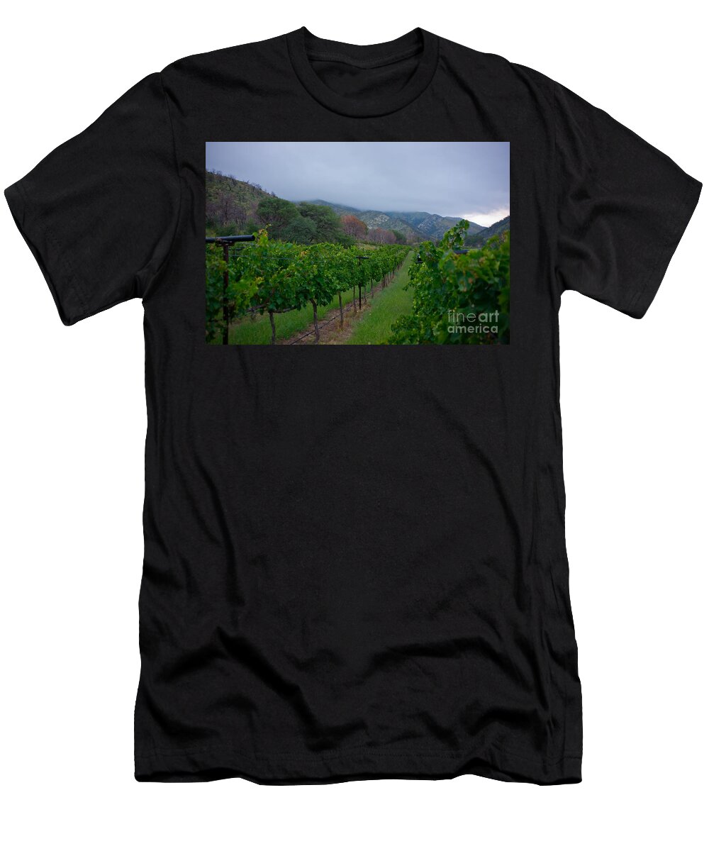 Colibri Vineyards T-Shirt featuring the photograph Colibri Vineyards by Kent Nancollas
