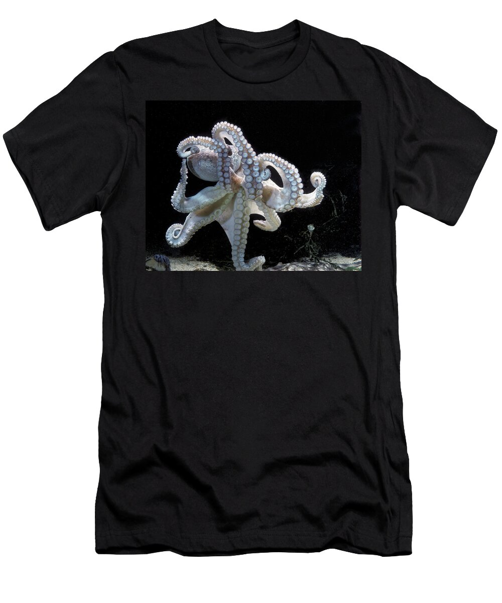 Common Octopus T-Shirt featuring the photograph Common Octopus by Jean-Michel Labat