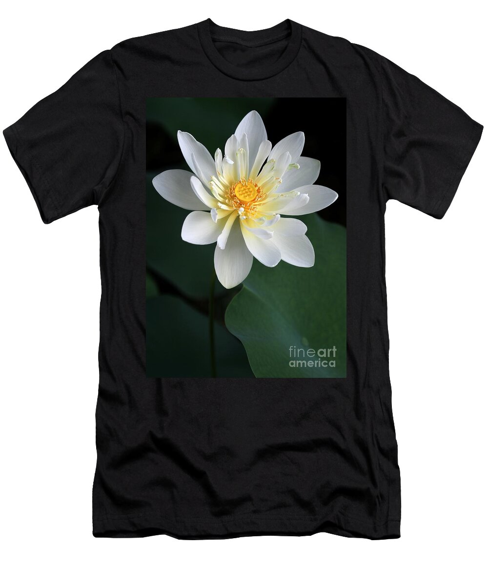 Lotus T-Shirt featuring the photograph Confidence by Sabrina L Ryan