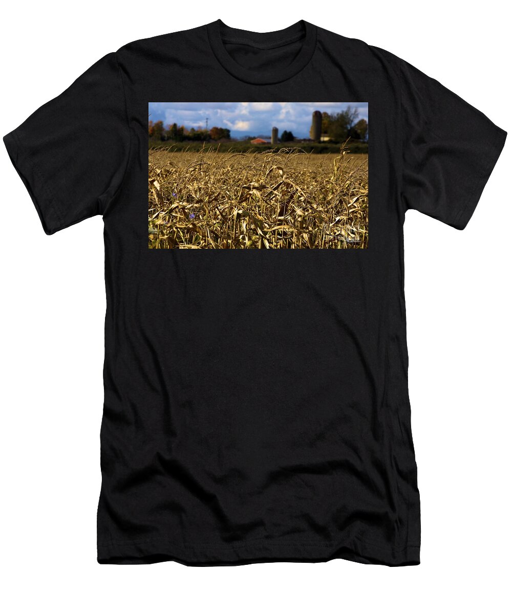 Corn T-Shirt featuring the photograph Corn Field by Bill Richards