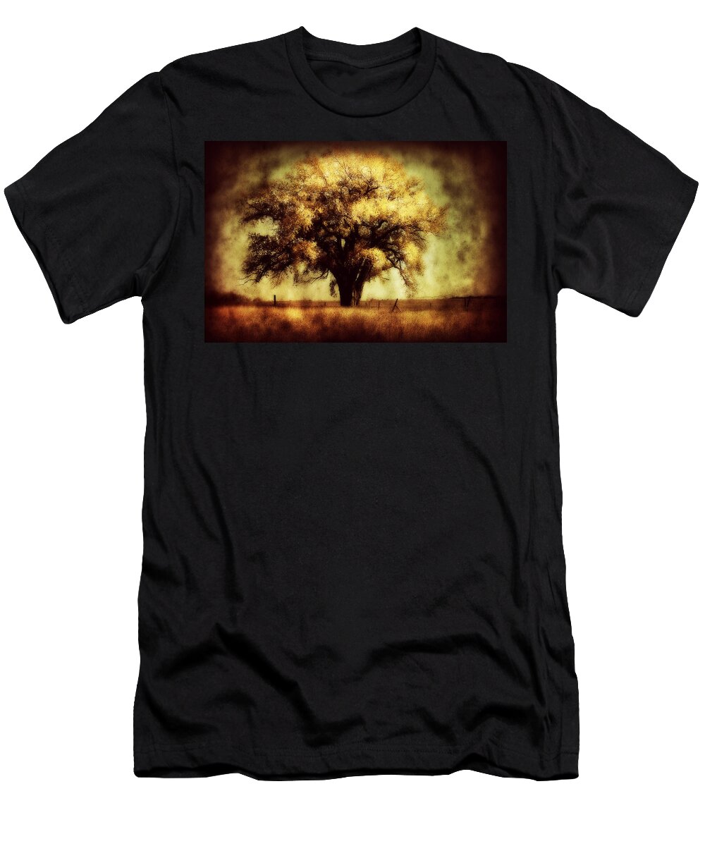 Trees T-Shirt featuring the photograph Cottonwood 4 by Julie Hamilton