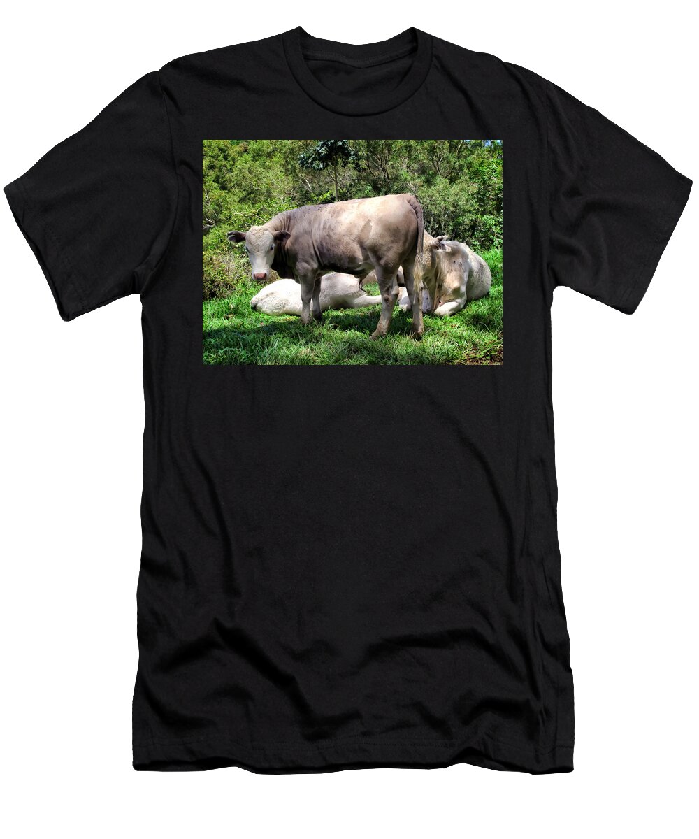 Cattle T-Shirt featuring the photograph Cow 5 by Dawn Eshelman