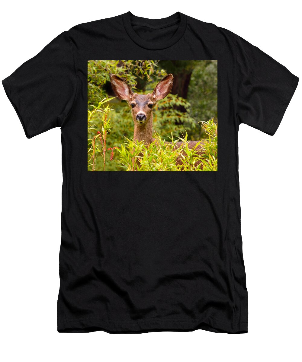 Deer T-Shirt featuring the photograph Curiosity by Brian Tada