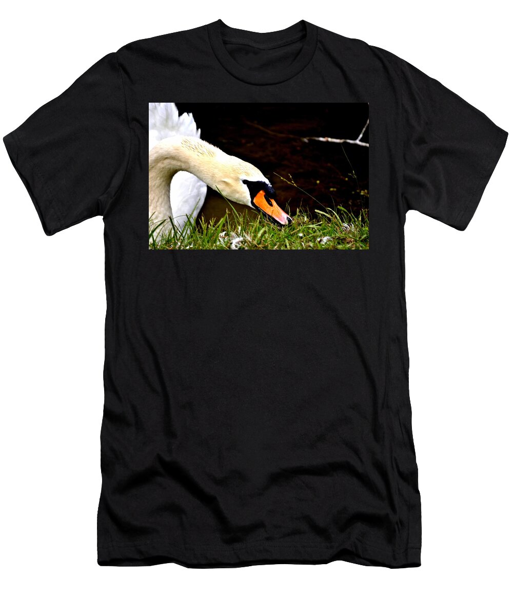 Swan T-Shirt featuring the photograph Curious Swan by Tara Potts