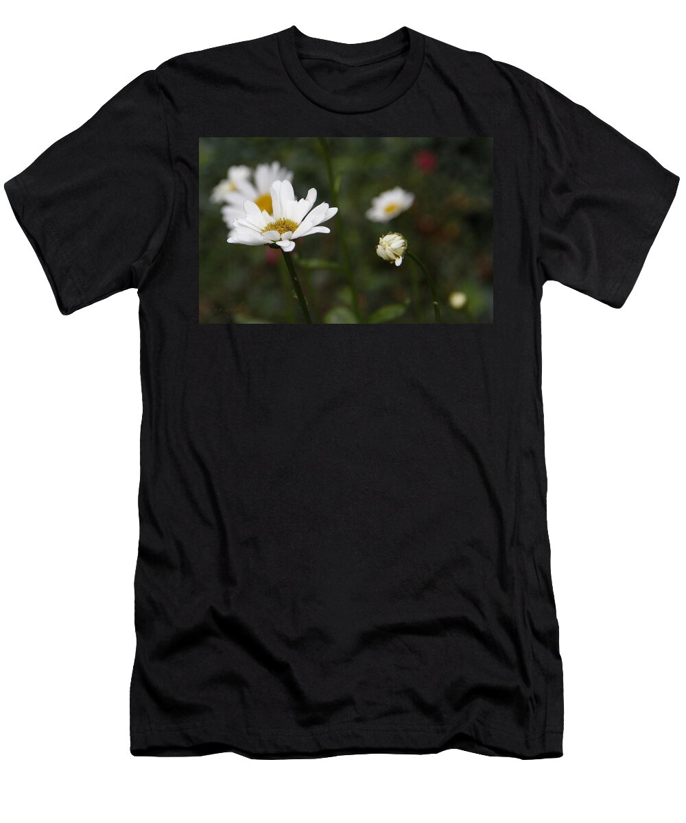 Daisies T-Shirt featuring the photograph Smiling Daisies by Yvonne Wright