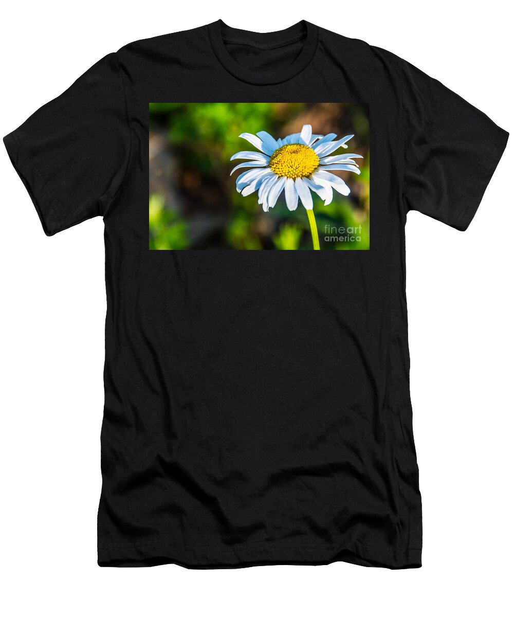 Daisy T-Shirt featuring the photograph Daisy by Kathy Liebrum Bailey