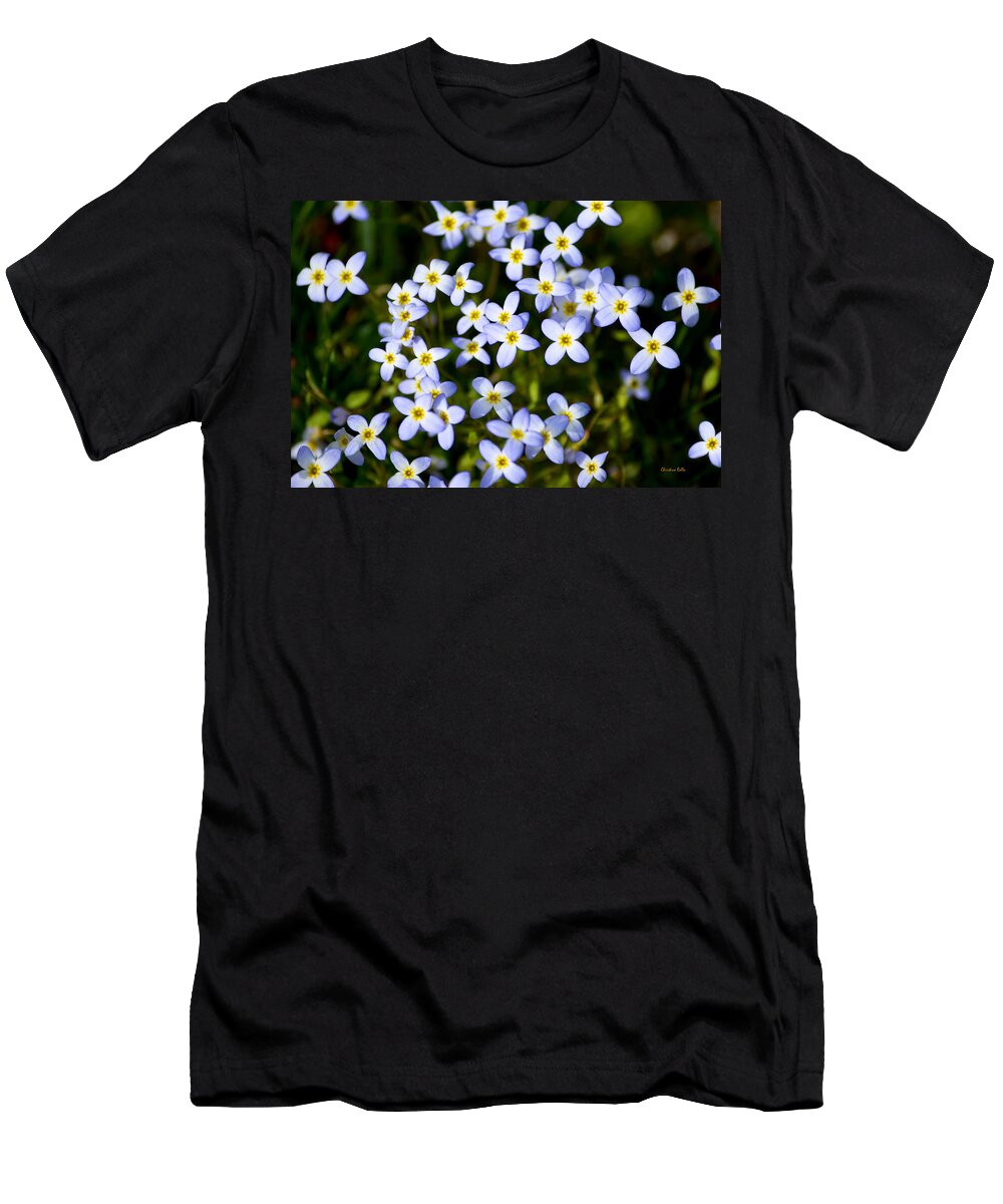 Spring Flowers T-Shirt featuring the photograph Spring Bluet Flowers by Christina Rollo
