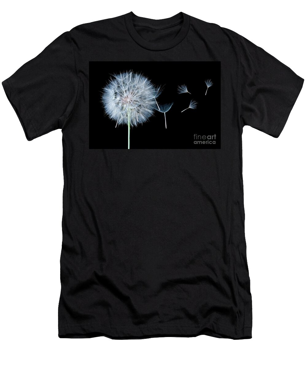 Dandelion T-Shirt featuring the photograph Dandelion Dreaming by Cindy Singleton