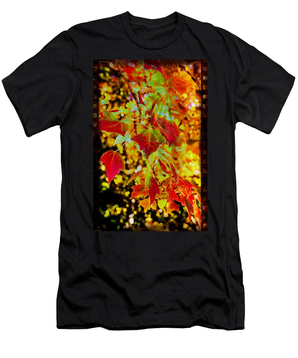 Photo Art T-Shirt featuring the photograph Daydreaming in Color by Mick Anderson