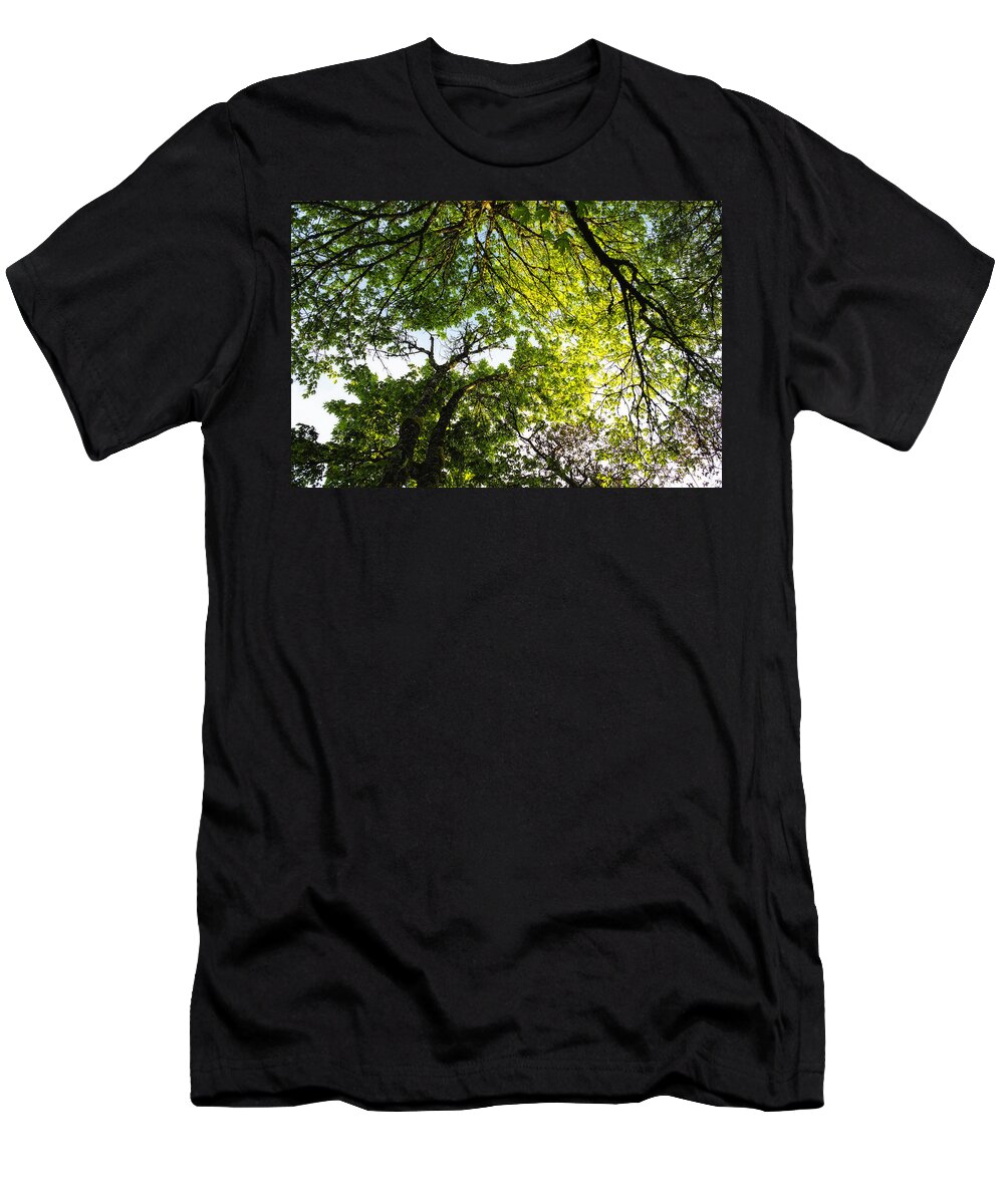 Trees T-Shirt featuring the photograph Daydreaming in the Hammock by Belinda Greb