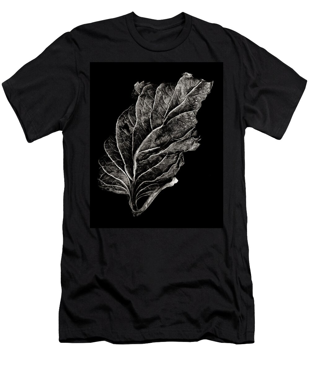 Leaf T-Shirt featuring the photograph Dead Leaf 12 by Robert Woodward