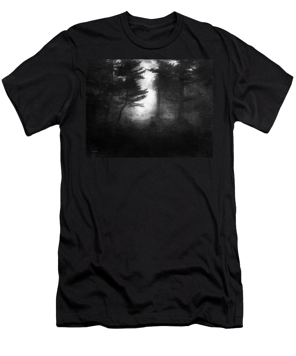 Rabbit T-Shirt featuring the photograph Deep In The Dark Woods by Theresa Tahara