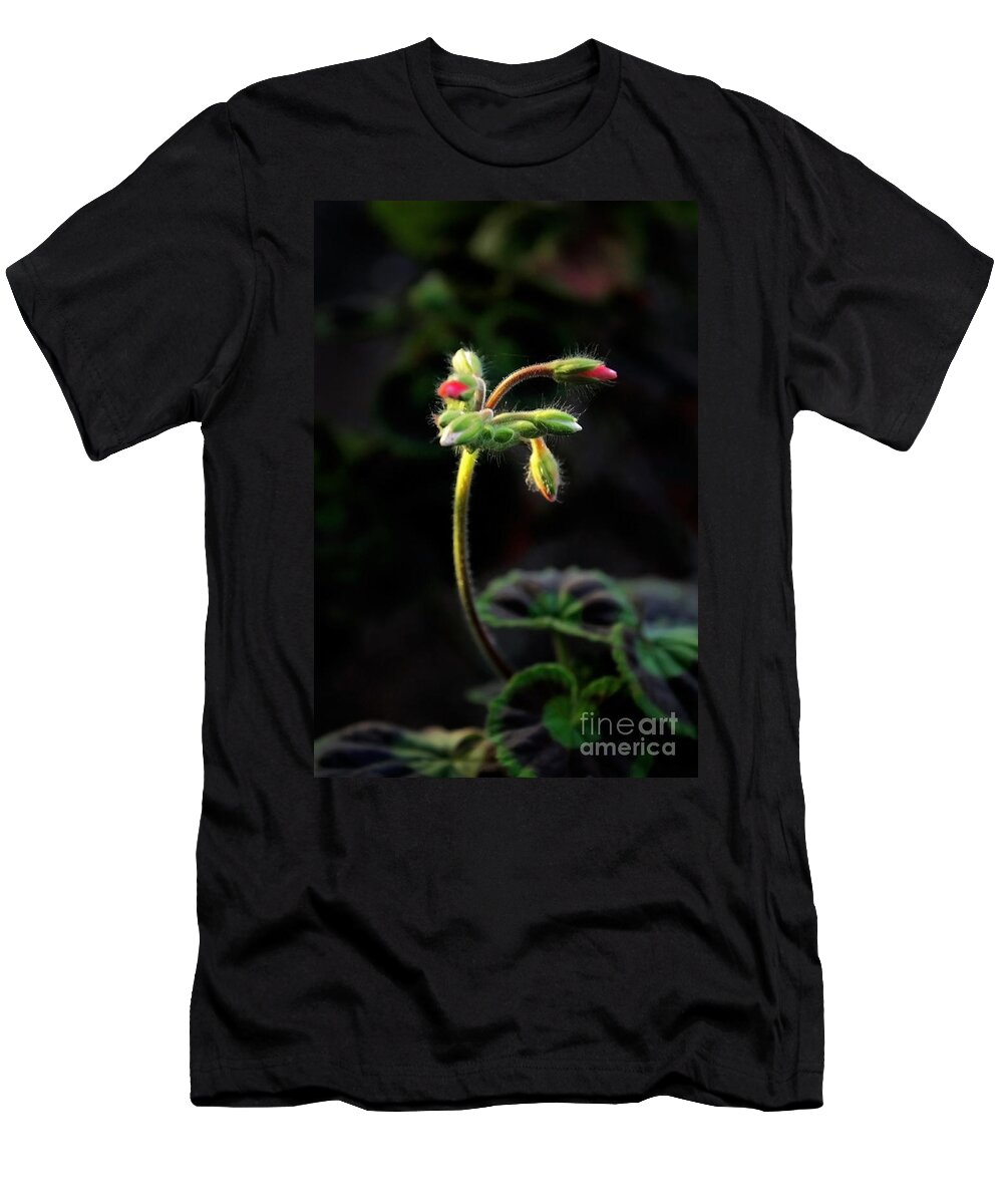 Nature T-Shirt featuring the photograph Delicate Curves by Ellen Cotton