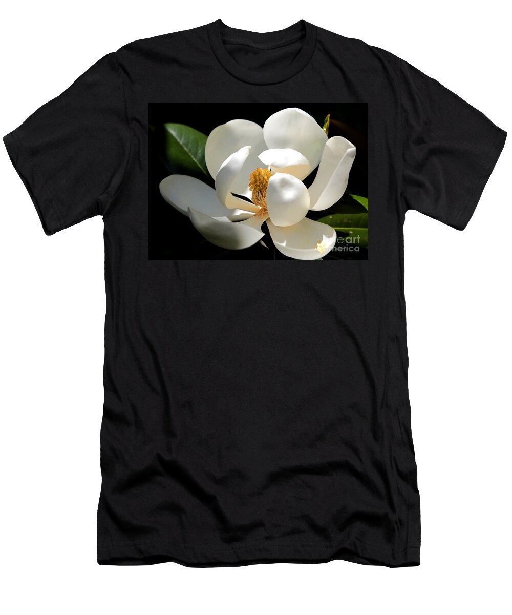Magnolia T-Shirt featuring the photograph Delicate Magnolia by Carol Groenen