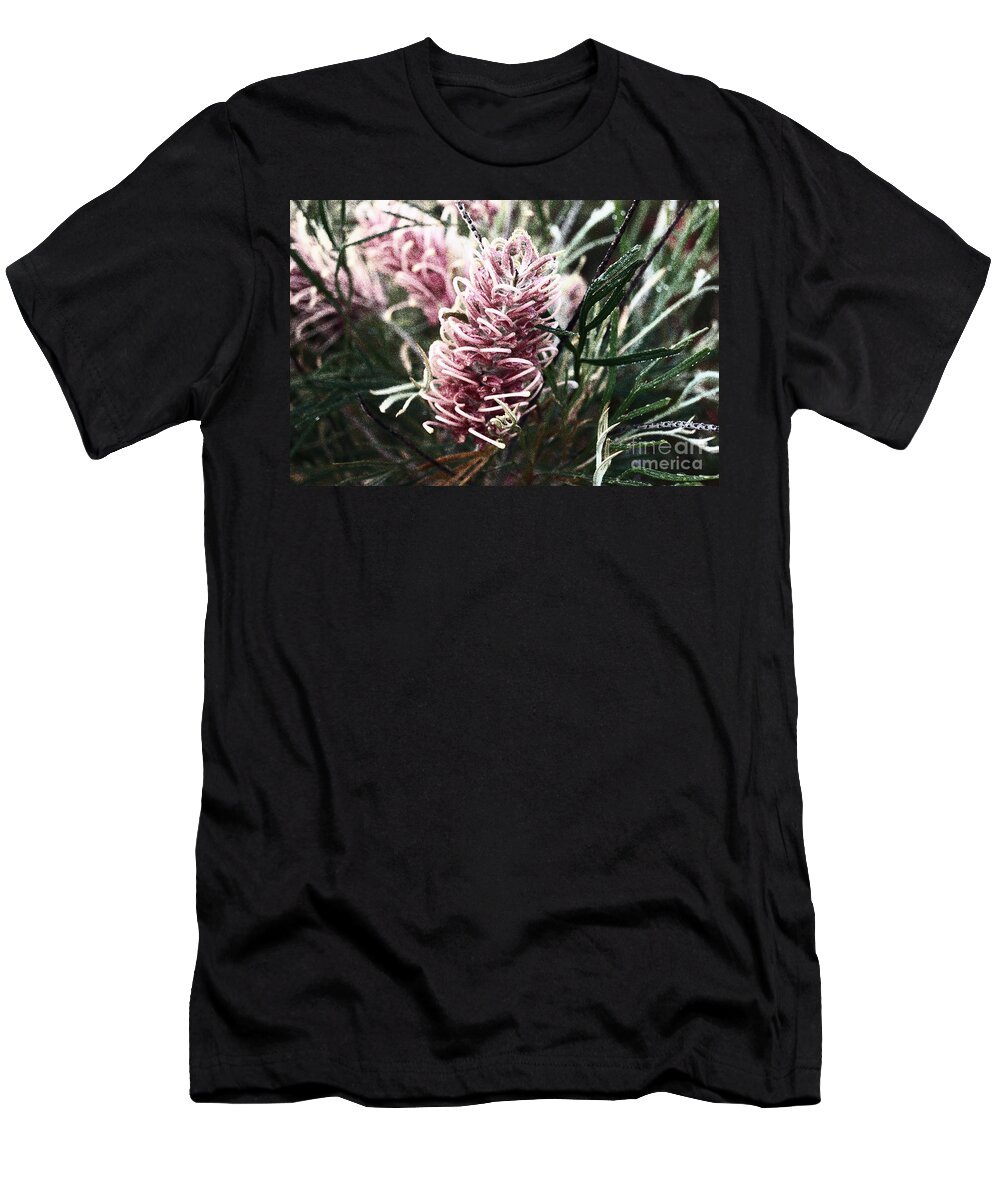 Grevillea T-Shirt featuring the photograph Dew Covered Grevillea by Cassandra Buckley