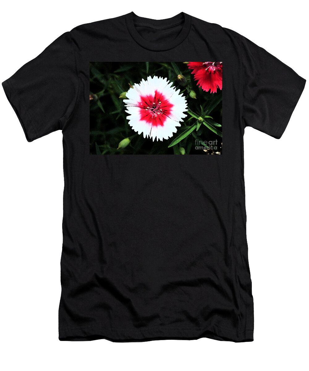 Dianthus T-Shirt featuring the digital art Dianthus Red and White Flower Decor Macro Fresco Digital Art by Shawn O'Brien