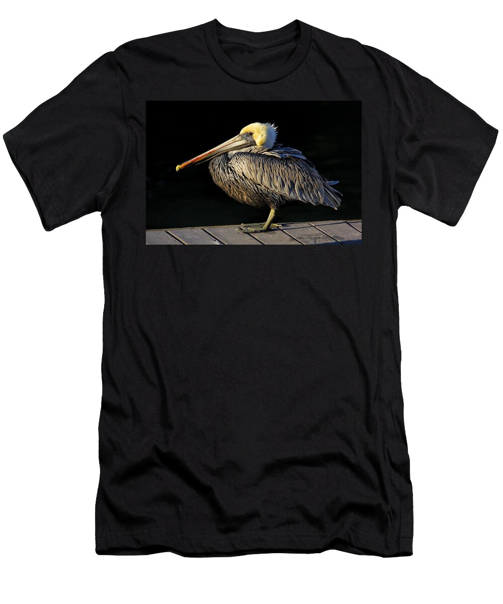 Brown Pelican T-Shirt featuring the photograph Dockmaster - Brown Pelican by HH Photography of Florida