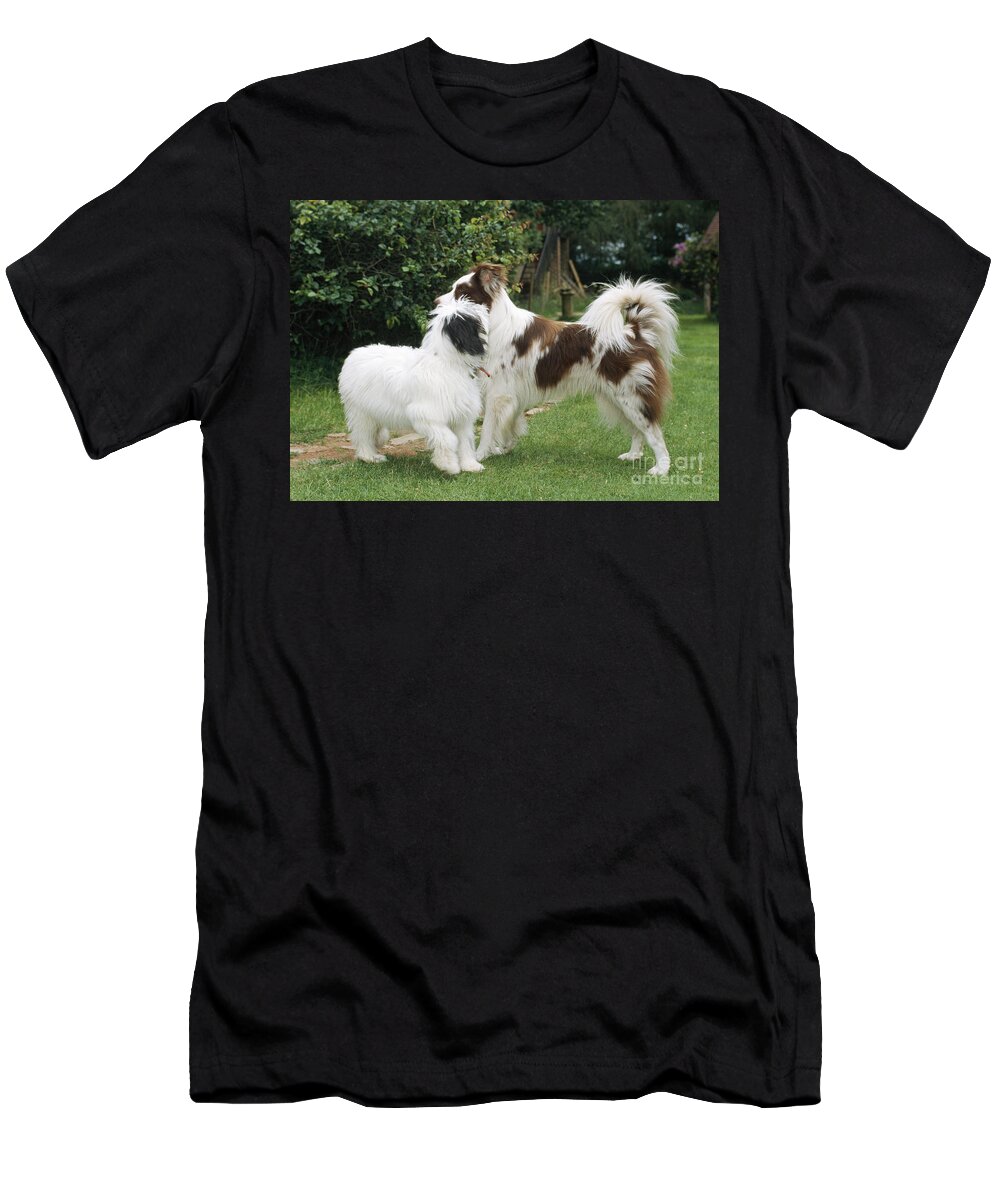 Dog T-Shirt featuring the photograph Dogs Greeting by John Daniels