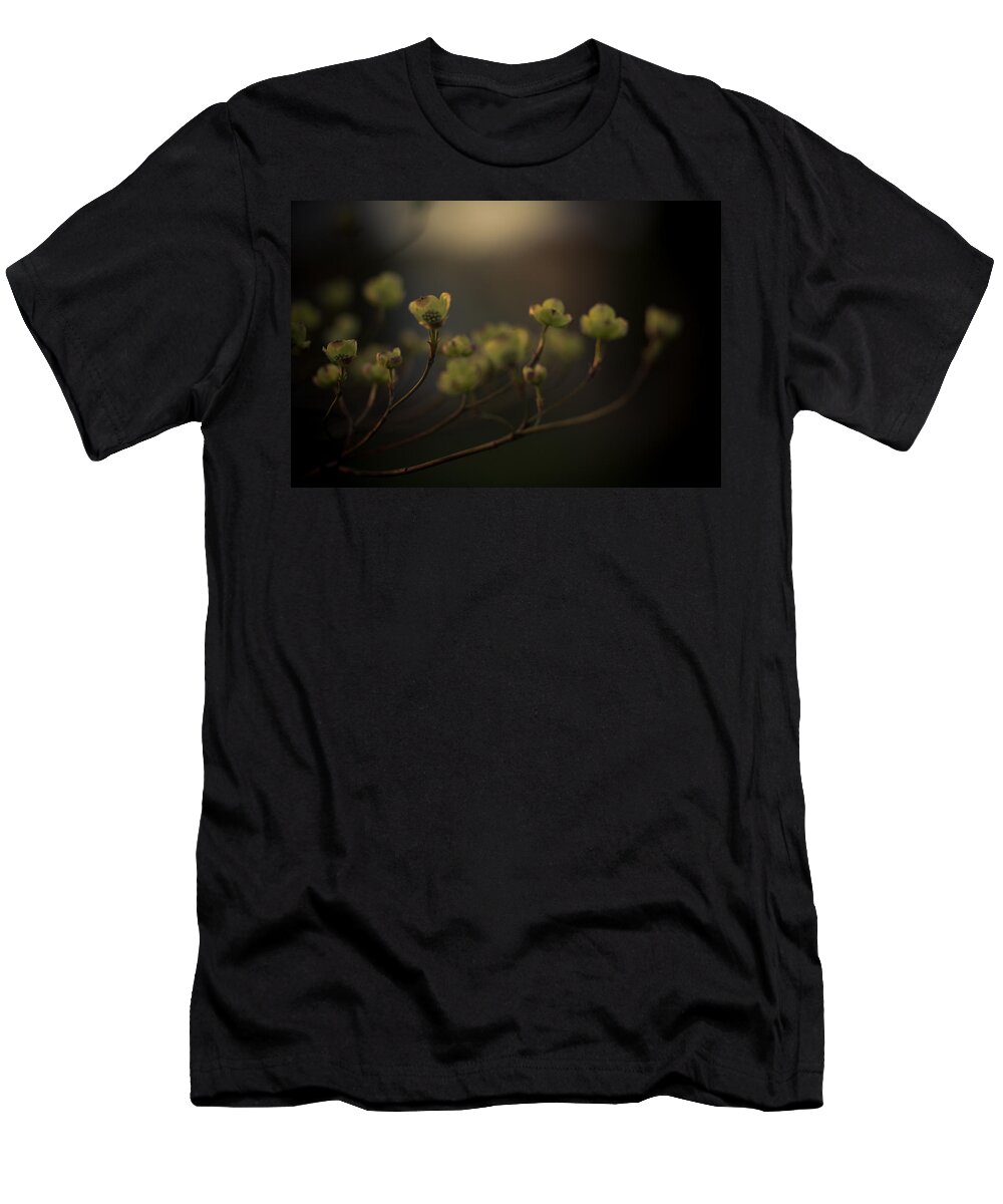 Dogwood T-Shirt featuring the photograph Dogwood at Dusk by Shane Holsclaw