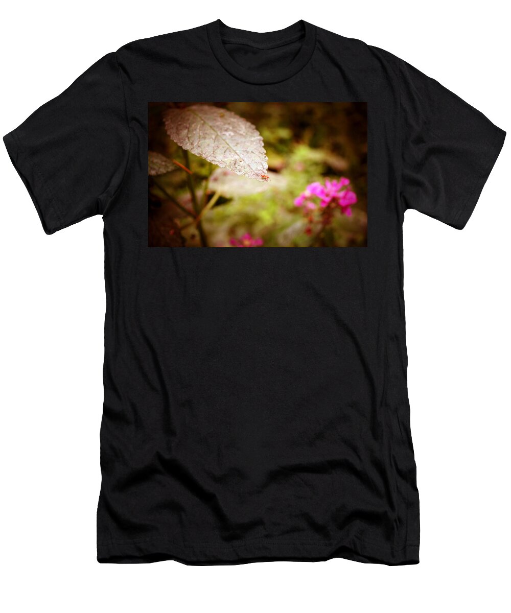 Red Ant T-Shirt featuring the photograph Don't Look Down by Laureen Murtha Menzl