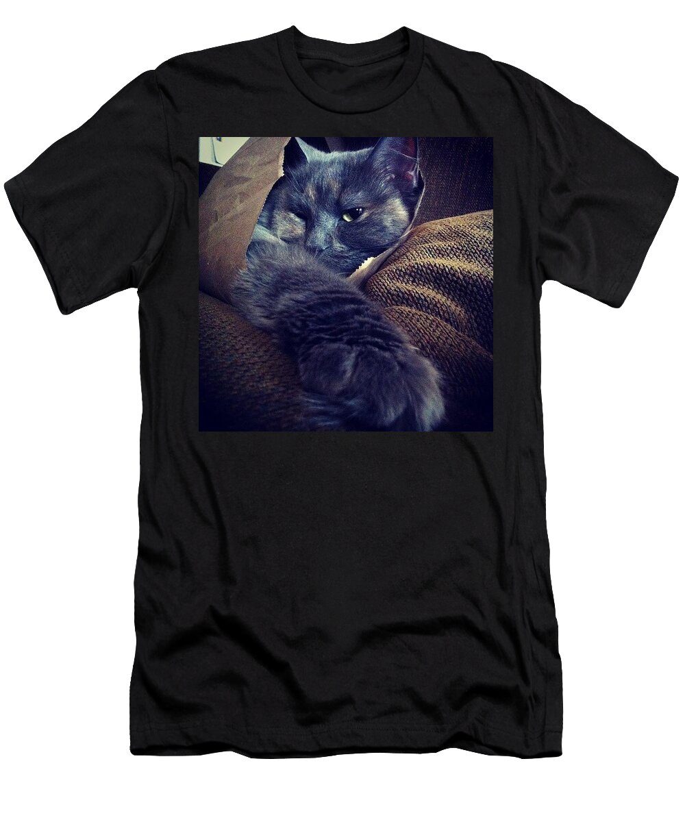 Cat T-Shirt featuring the photograph Don't Worry Guys. The Cat's Still In by Katie Cupcakes