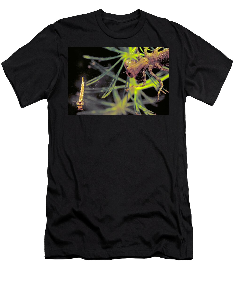 Animal T-Shirt featuring the photograph Dragonfly Nymph & Mosquito Larva by Robert Noonan