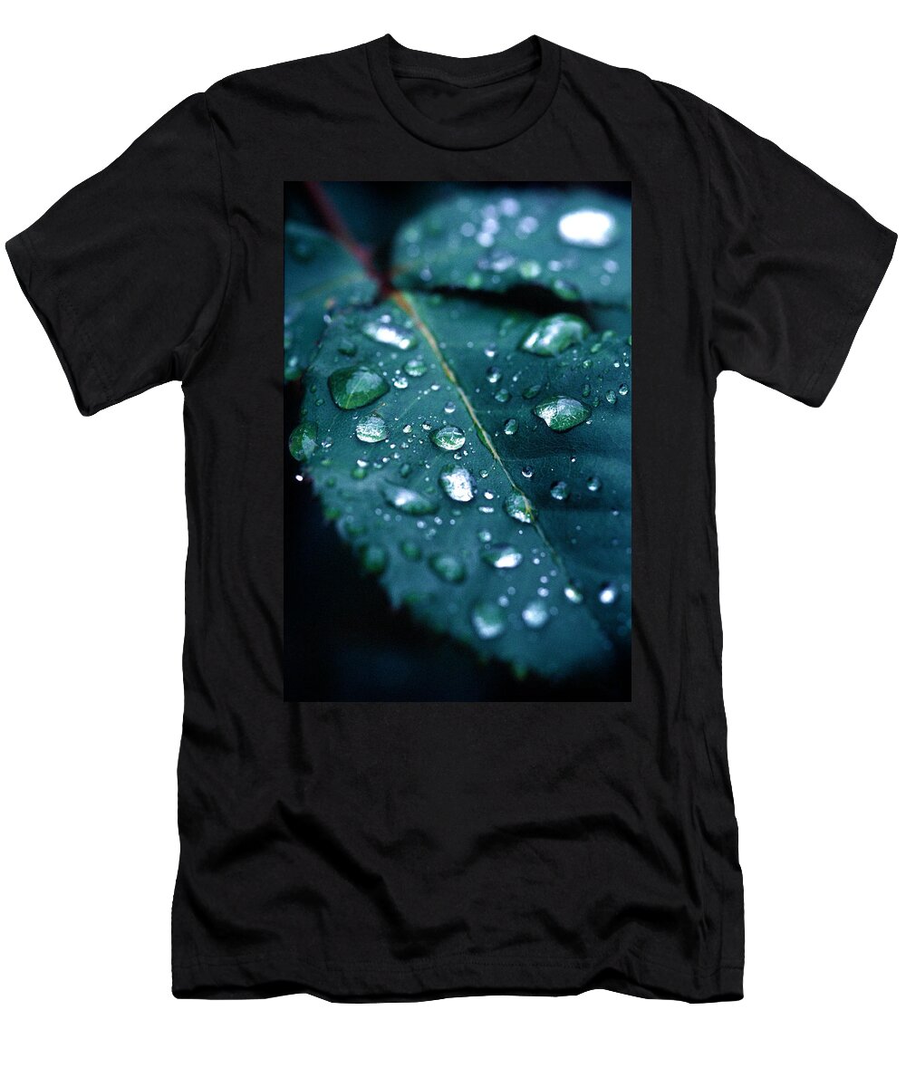 Floral T-Shirt featuring the photograph Droplets by Matt Swinden