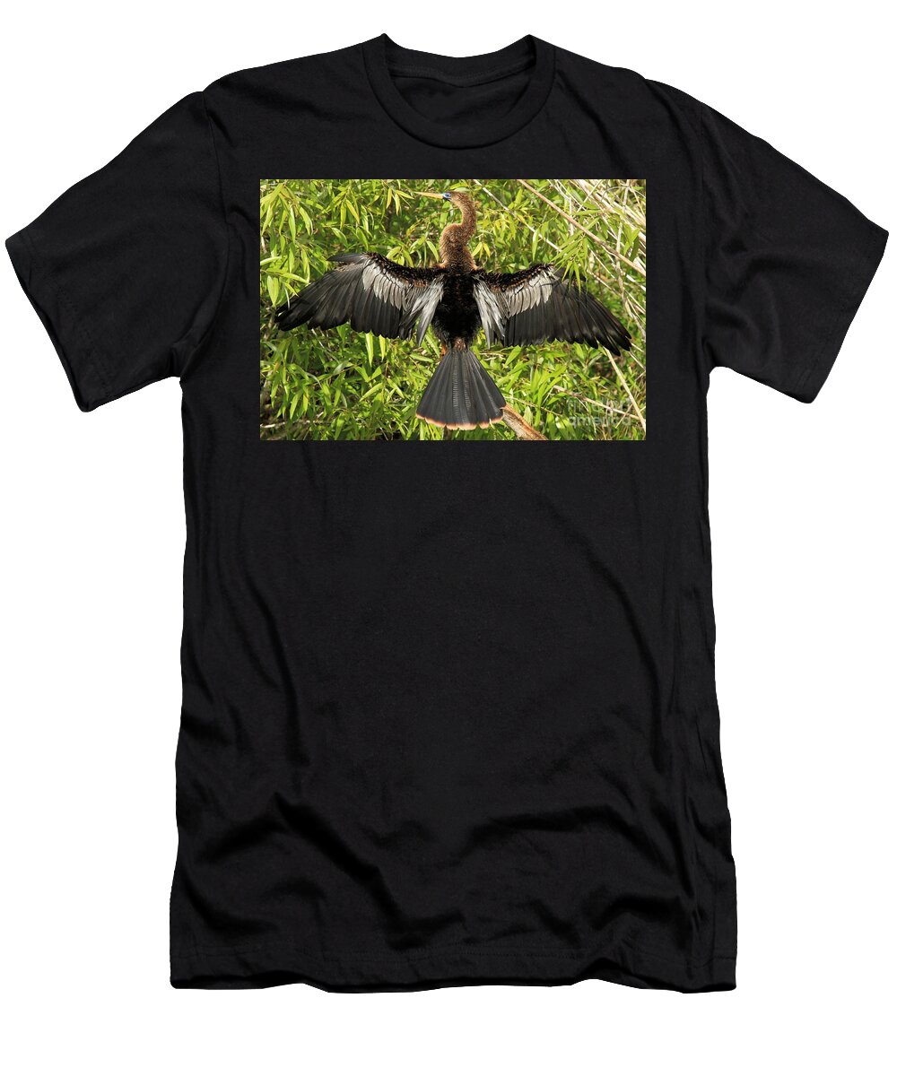 Anhinga T-Shirt featuring the photograph Drying Out by Adam Jewell