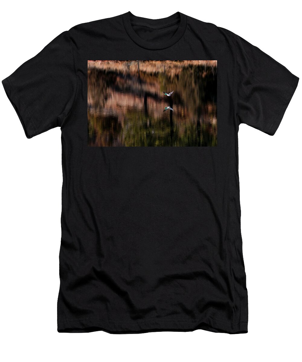 Mallard T-Shirt featuring the photograph Duck Scape by Donald J Gray