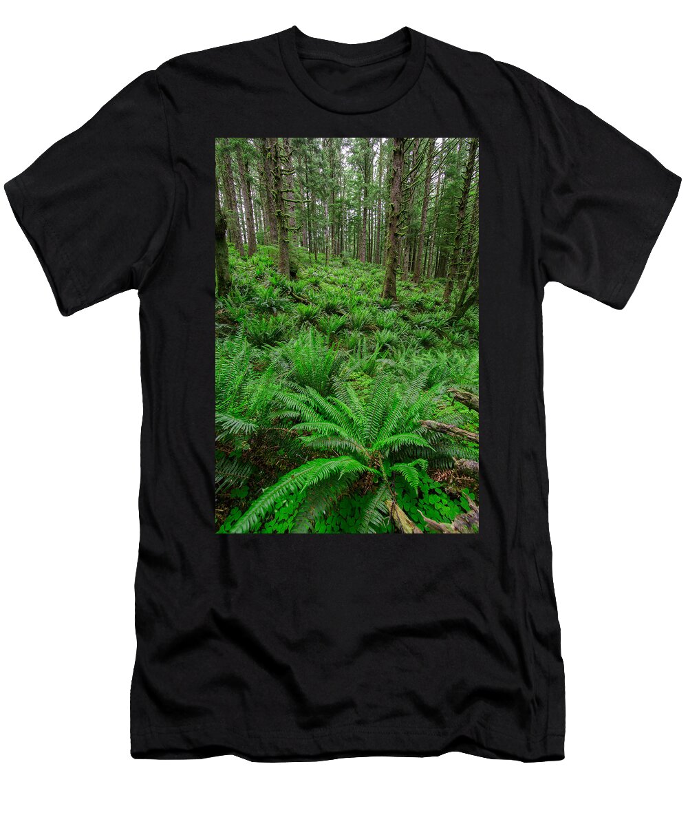 Ecola State Park T-Shirt featuring the photograph Ecola Ferns by Rick Berk