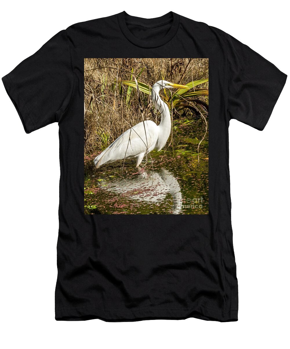 Bird T-Shirt featuring the photograph Egret Wading by Kate Brown