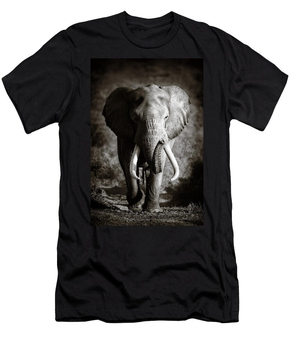 Elephant T-Shirt featuring the photograph Elephant Bull by Johan Swanepoel