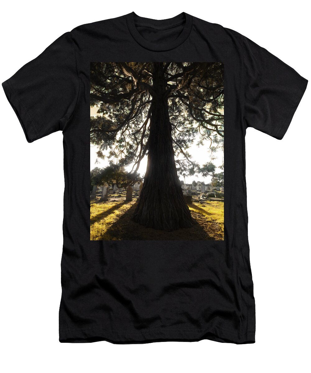 Art T-Shirt featuring the photograph Embracing the Morning Light by Steve Taylor