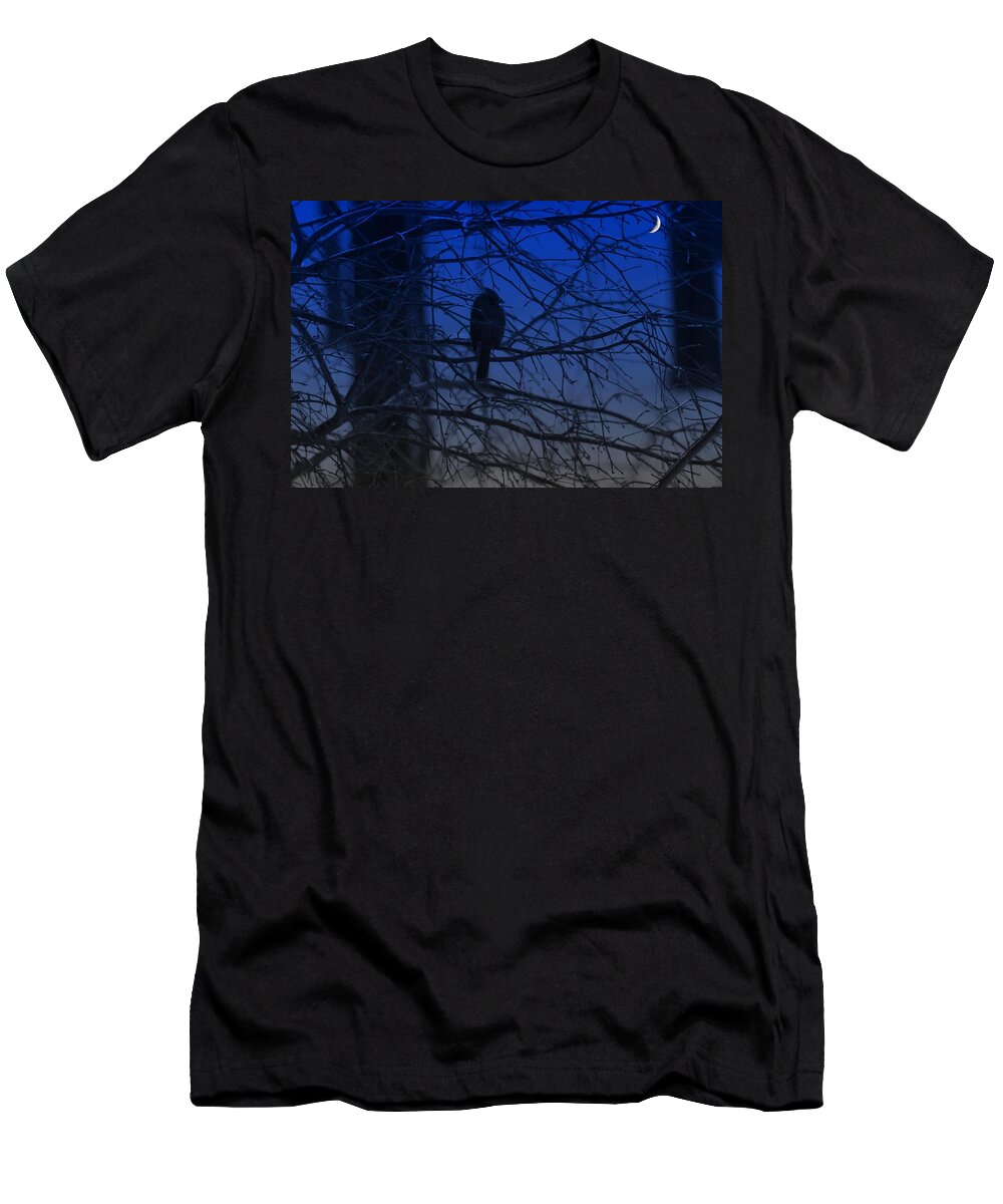 Profile T-Shirt featuring the photograph Evening Fell by Barbara S Nickerson