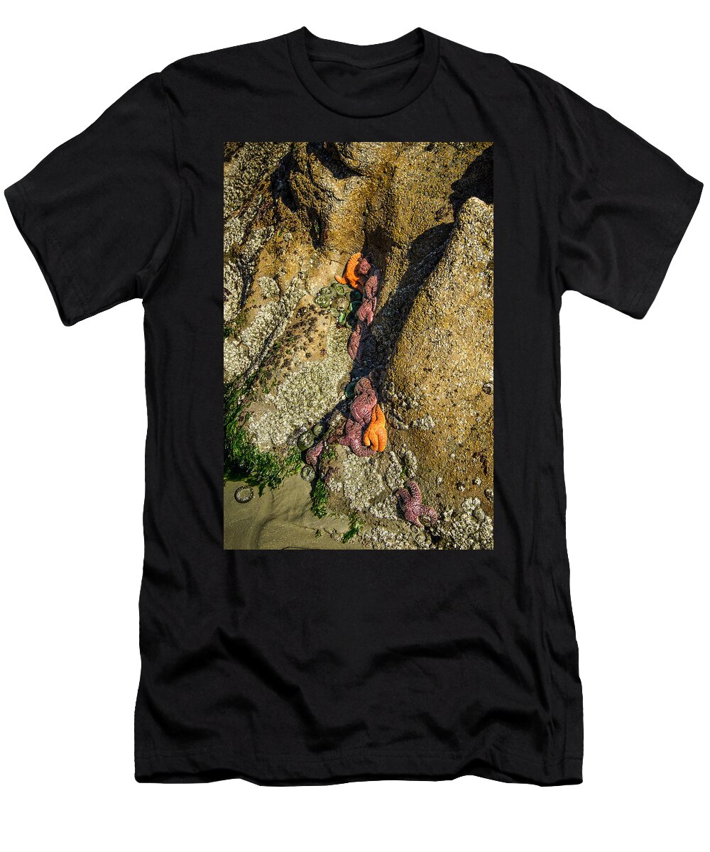 Hidden T-Shirt featuring the photograph Starfish Exposure by Roxy Hurtubise