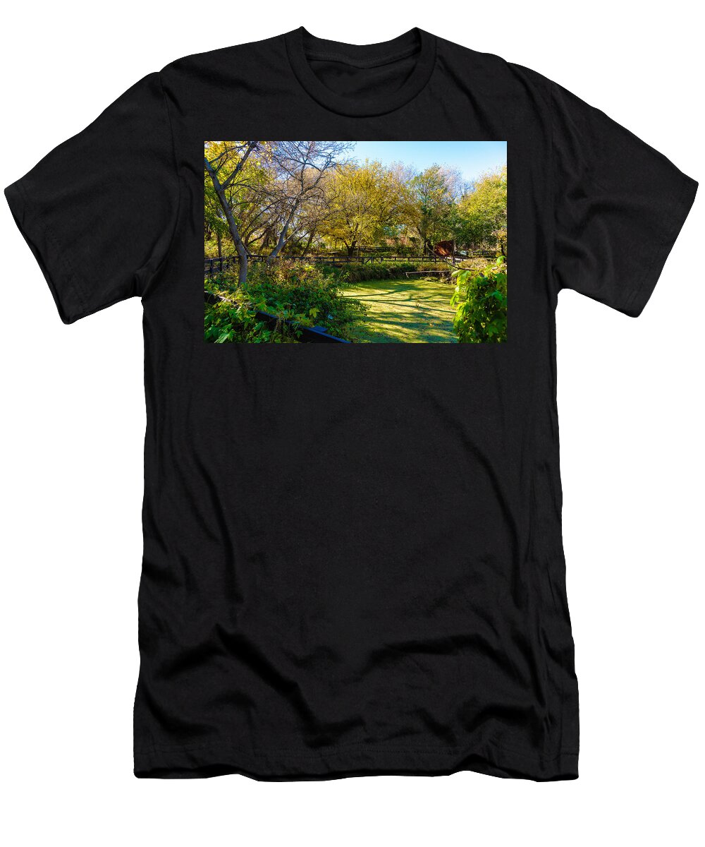 Fall T-Shirt featuring the photograph Fall Morning by Ed Peterson