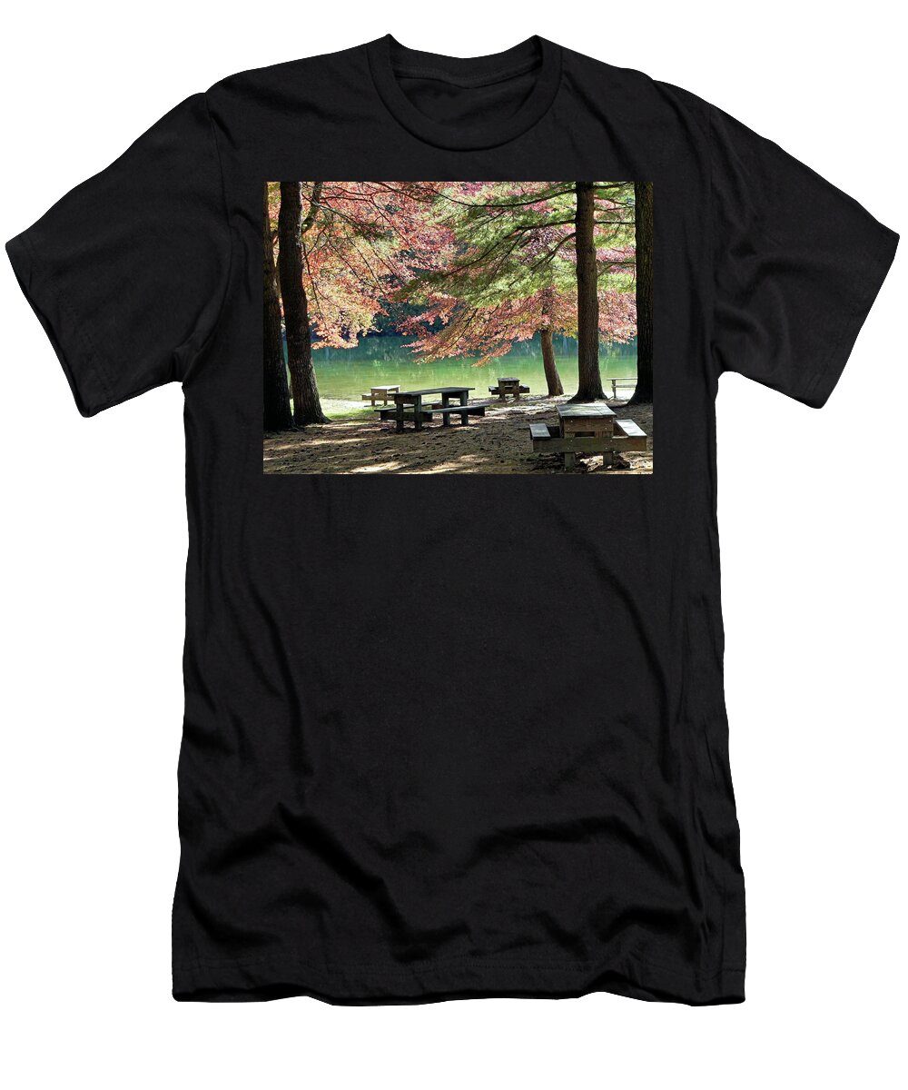 Tupelo Tree T-Shirt featuring the photograph Fall picnic by Janice Drew