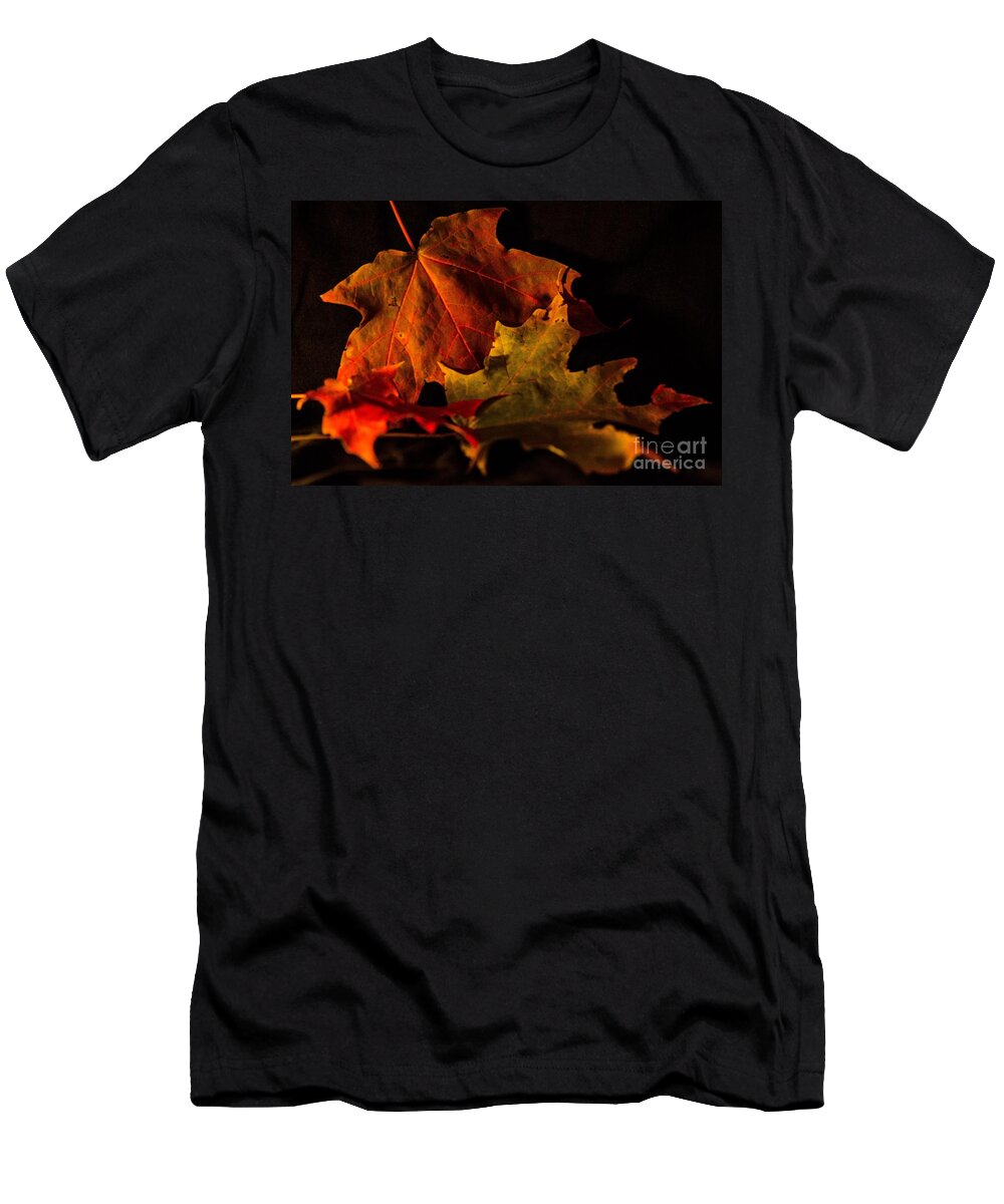 Leaves T-Shirt featuring the photograph Fallen Leaves by Judy Wolinsky