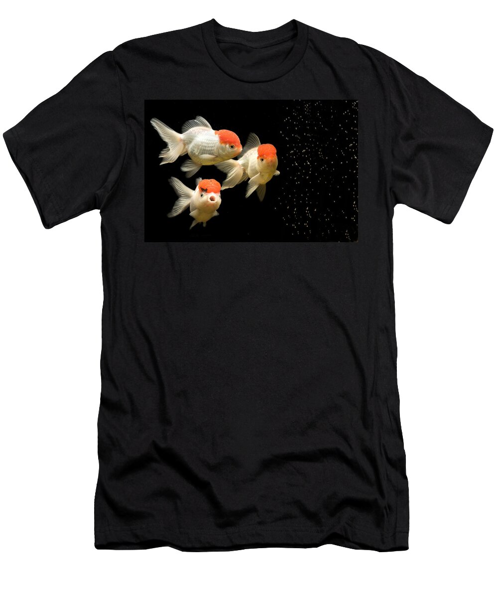 Fish T-Shirt featuring the photograph Fancy Goldfish by Jean-Michel Labat