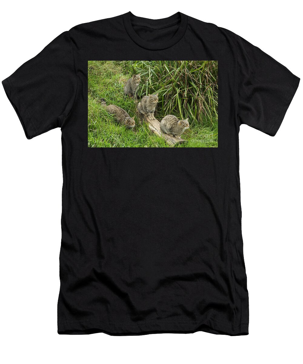 Wildcat T-Shirt featuring the photograph Feeding Time by Louise Heusinkveld