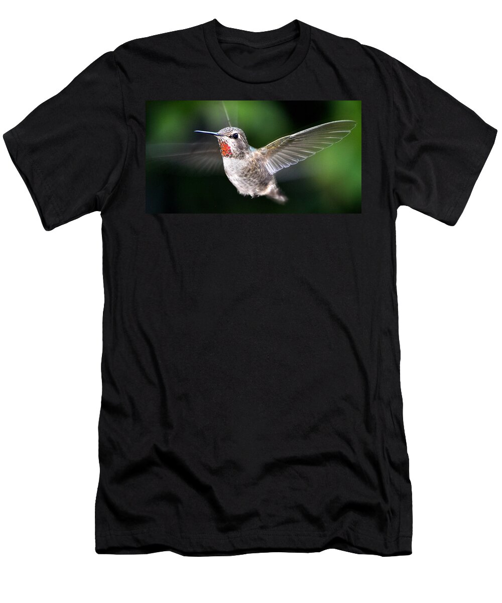 Hummingbird T-Shirt featuring the photograph Female Caliope Hummingbird In Flight by Jay Milo